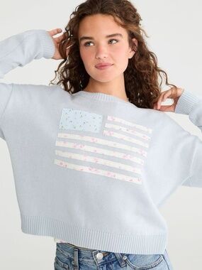 Aeropostale Patchwork Flag Crew Sweater